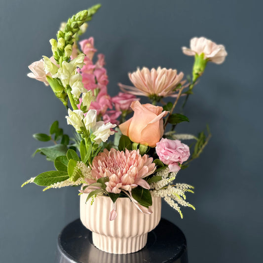 Petite Arrangement
